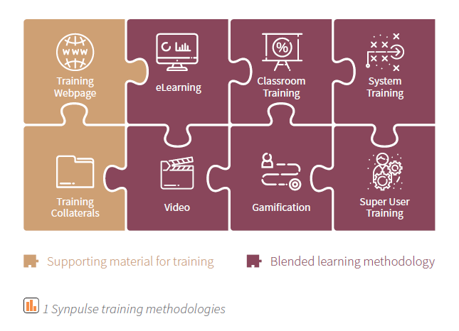 Synpulse Training Solutions 2